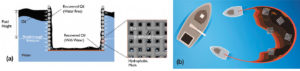 Lee más sobre el artículo Modelización de mallas hidrofóbicas para la recuperación de derrames petróleo en el mar.